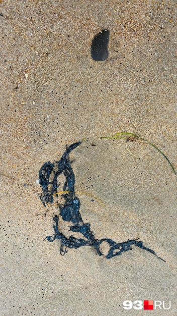 Свежие выбросы мазута | Источник: Никита Зырянов / 93.RU