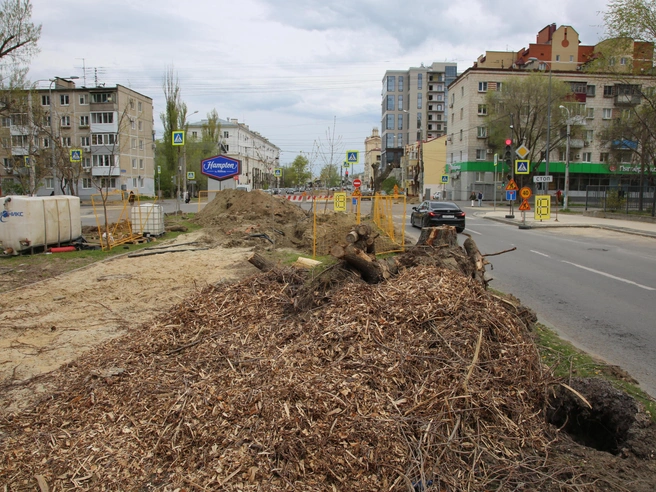 Бывшая зелень превратилась в кучу щепок. | Источник: Константин Завриков / V1.RU