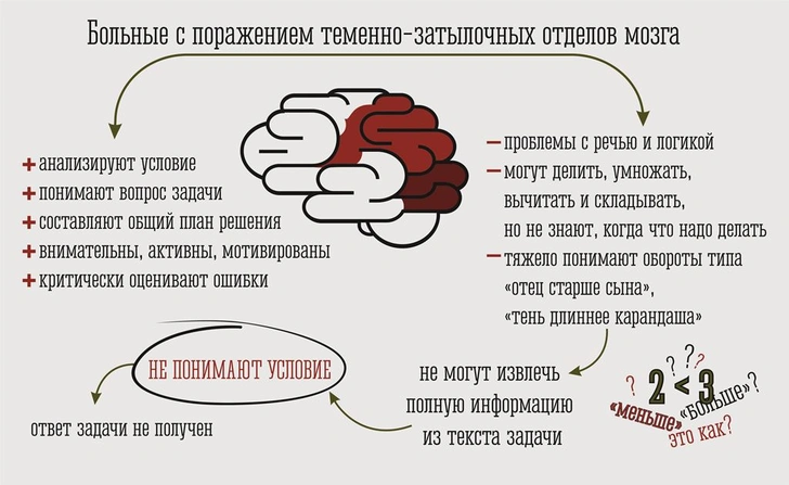 2 + 2 = ? Почему некоторые люди не понимают математику