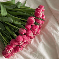 Аватарка Lena9780