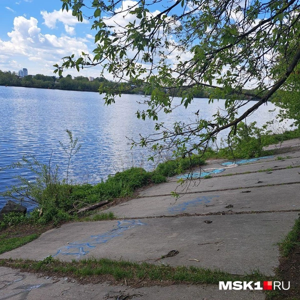 Источник: Арина Майорова / MSK1.RU