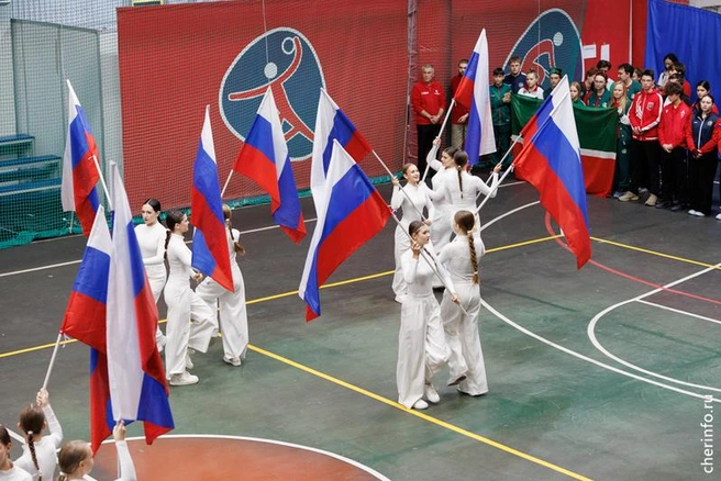 Источник: st.cherinfo.ru