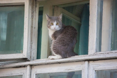 Погода в Иркутске на понедельник: февральская оттепель