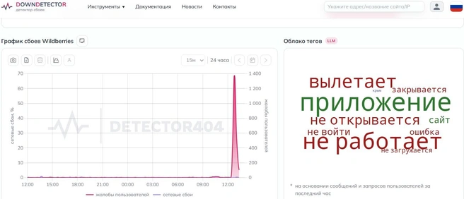 Массовый сбой Wildberries в России 15 июня | Источник: detector404.ru