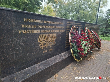 Источник: Алёна Воропаева / Voronezh1.ru