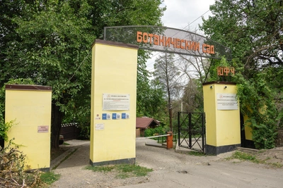 Ростов: 2027 год посвятят столетию Ботсада ЮФУ