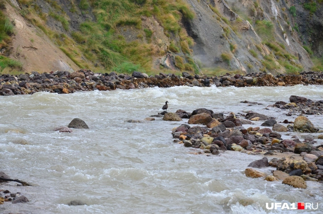 Речка Гейзерная после дождей наполнилась | Источник: Булат Салихов / UFA1.RU