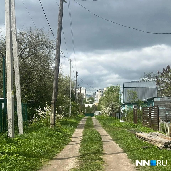 Источник: предоставлено героиней