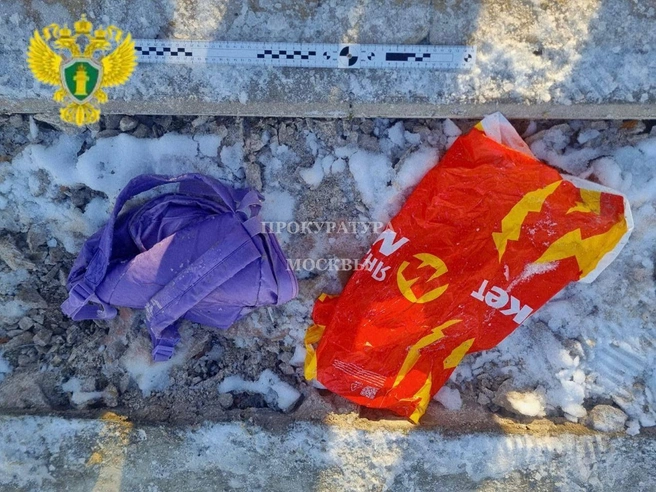 В чём была голова ребенка, найденная в пруду | Источник: Прокуратура Москвы / T.me