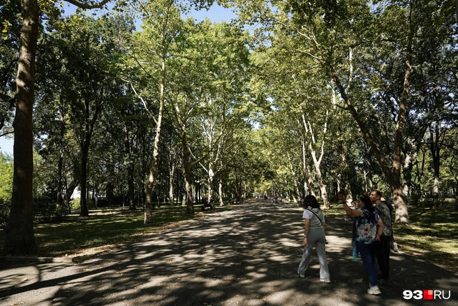 Главное миновать многолюдную зону через парк | Источник: Дарья Паращенко / 93.rU