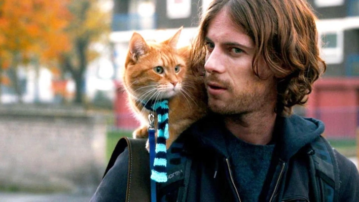 Кадр из фильма «Уличный кот по кличке Боб»