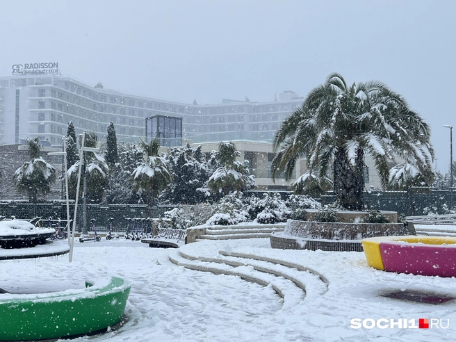 Необычный пейзаж  | Источник: Анна Грицевич / SOCHI1.RU