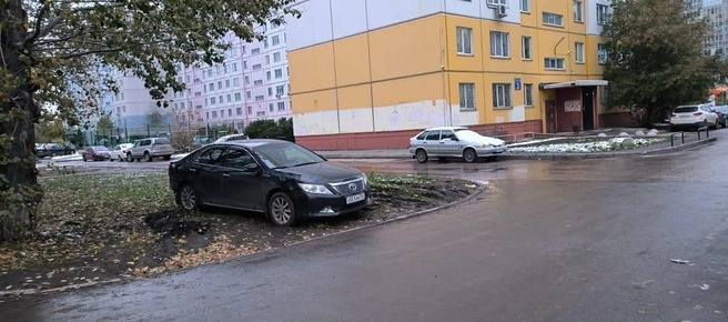 Не зря говорят, что наглость — второе счастье | Источник: читатель НГС