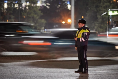 Преступления с автостраховками в Новосибирской области выросли в пять раз