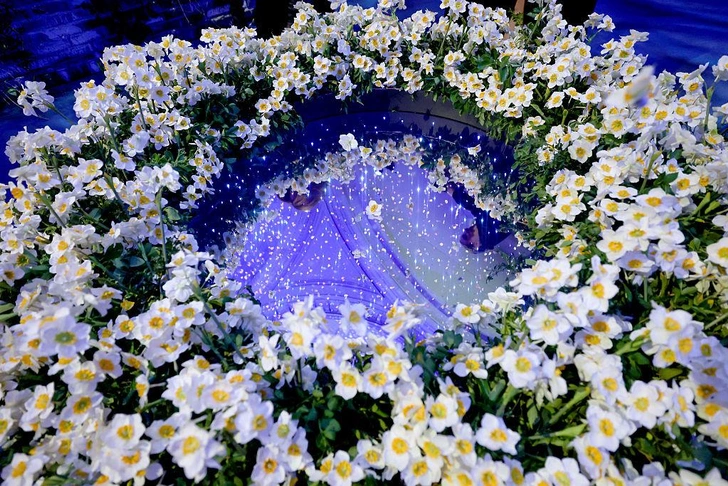 Источник: Getty Images