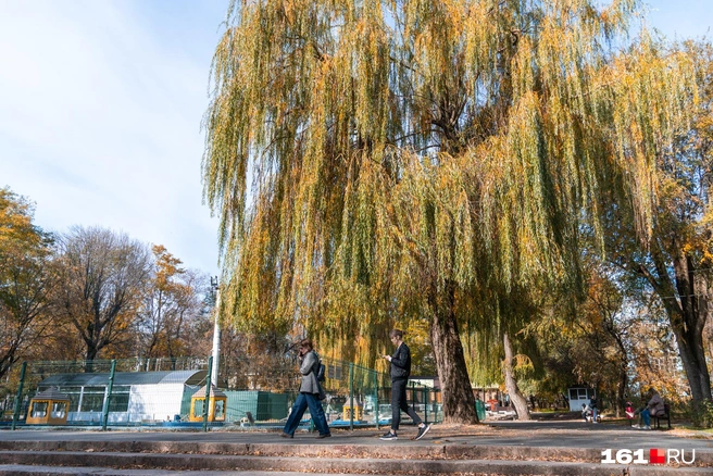 В отдельные дни будет возвращаться лето | Источник: Евгений Вдовин / 161.RU