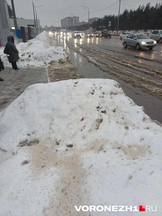 Сесть в автобус и не утонуть&nbsp;— невозможно | Источник: Читатель Voronezh1.ru
