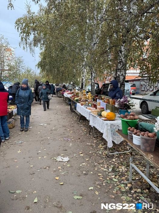 В продаже есть всевозможные овощи, фрукты, куры и домашние закрутки | Источник: Полина Шевчукова / NGS22.RU