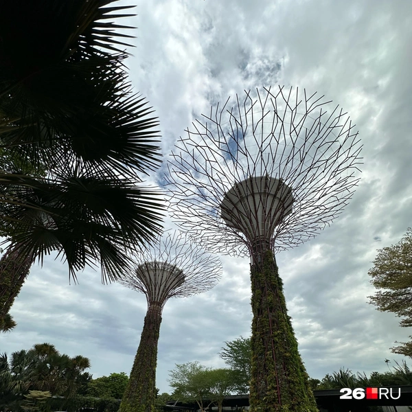 Gardens by the Bay | Источник: Габриелла Захарова / 26.RU