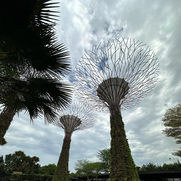 Gardens by the Bay | Источник: Габриелла Захарова / 26.RU
