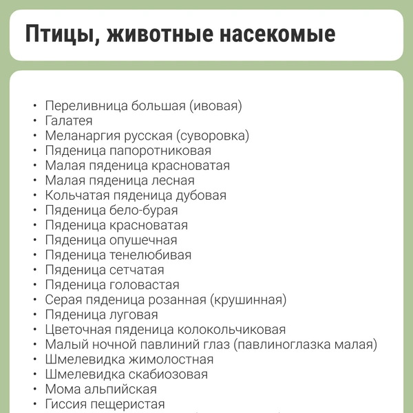 Источник: Кристина Калинина / NN.RU