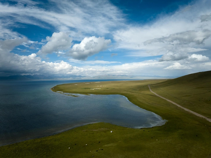 Источник: yalcins via Shutterstock/Fotodom.ru