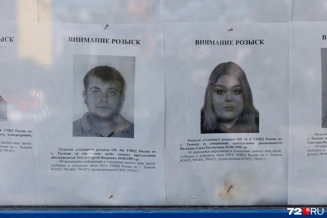 Источник: Ирина Шарова / 72.RU
