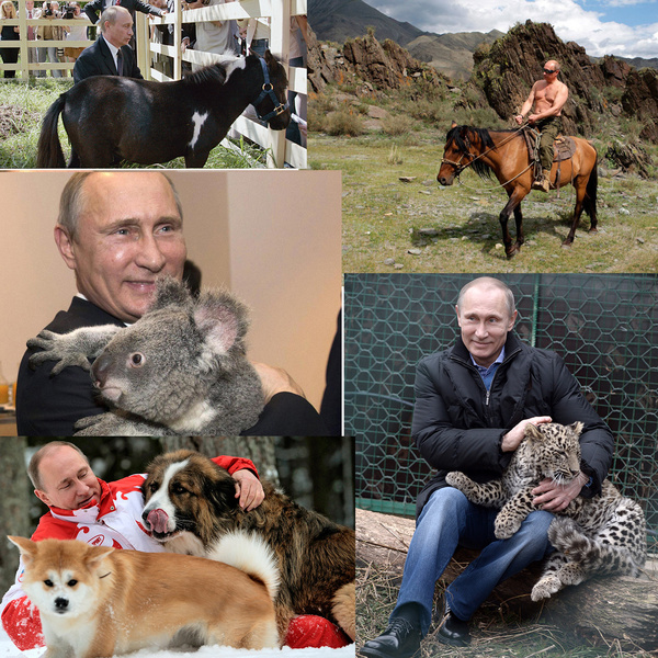 Путин с кошками фото