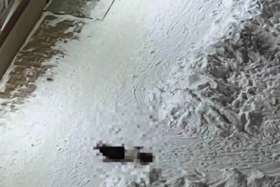 В Перми девочка-подросток выпала из окна и разбилась