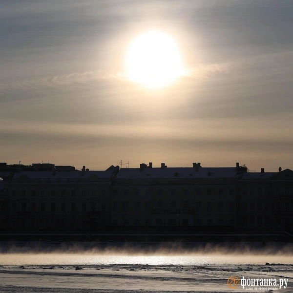 Источник: Сергей Михайличенко / FONTANKA.RU