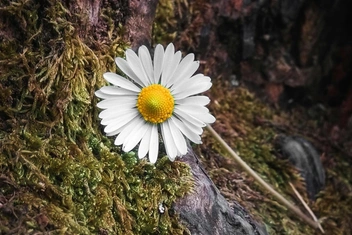 Тест для самых внимательных: сможете найти все слова, которые мы от вас спрятали?