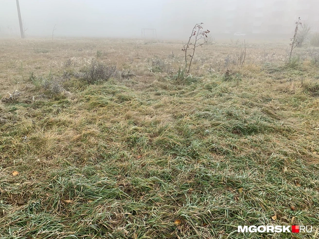 Земля и дороги покрылись тонкой коркой льда | Источник: читатель MGORSK.RU