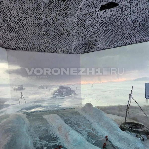 Источник: Ирина Булгакова/ Voronezh1.ru