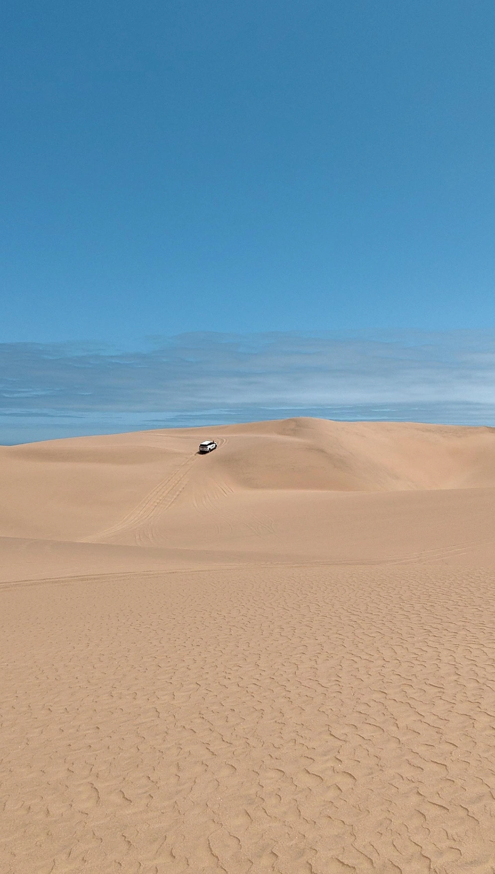 В Африке можно покататься по пустыне на машине | Источник: Лена Михеева / Vk.com