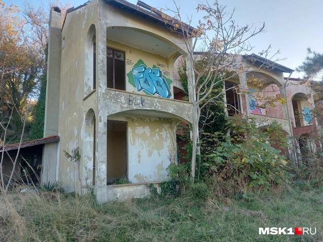 Когда-то это место любили курортники | Источник: Анна Голубницкая / MSK1.RU