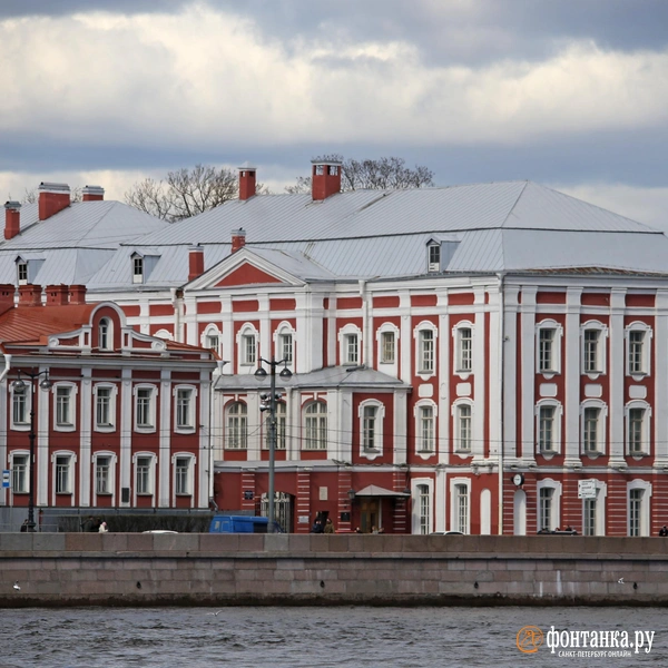 Источник: Павел Каравашкин / FONTANKA.RU