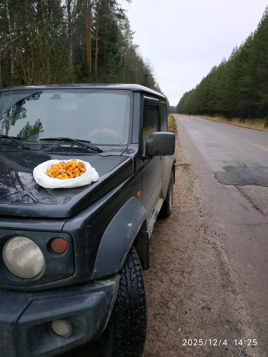 Ярославцы делятся фотографиями зимних грибов | Источник: Светлана Рзаева, «Грибы Ярославской области» / Vk.com