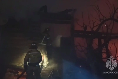 Семь коз и собаки погибли при пожаре под Гатчиной