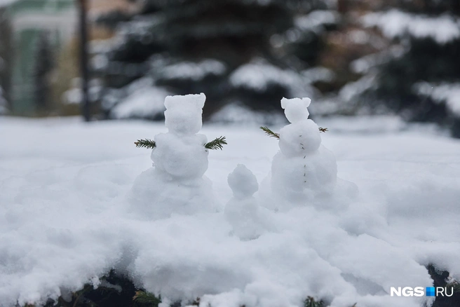 По снегопадам и ветру легко составить прогноз на месяцы вперед | Источник: Александр Ощепков / NGS.RU