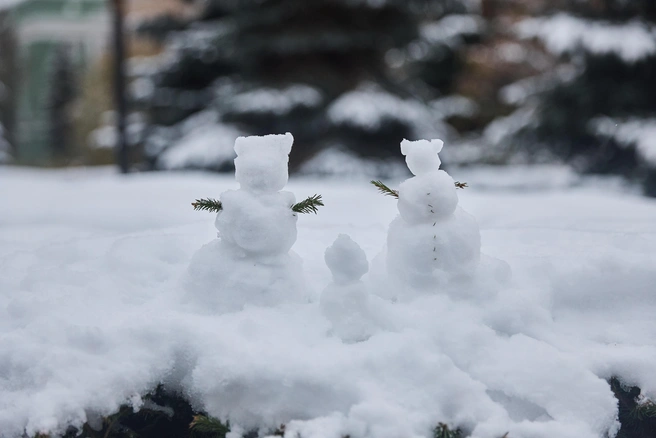 Когда в Алтайском крае установится постоянный снежный покров? | Источник: Александр Ощепков / NGS.RU