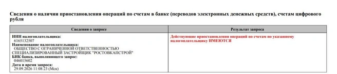 Источник: читатель 161.RU