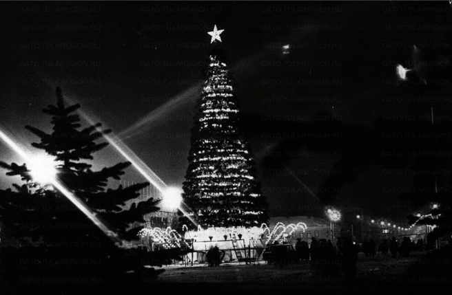 По сути, это классическая «елка-конус»&nbsp;— только не искусственная | Источник: Маслов В. / Государственный архив Тульской области