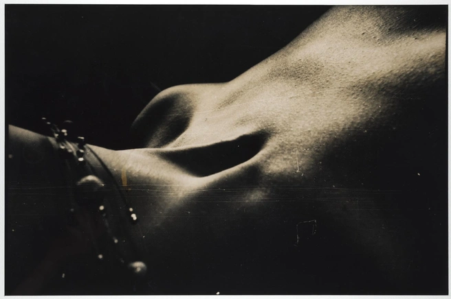 Источник: artoffoto.com