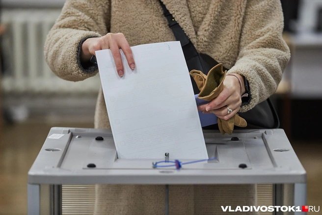 Выборы проходят в штатном режиме | Источник: Александр Ощепков / NGS.RU