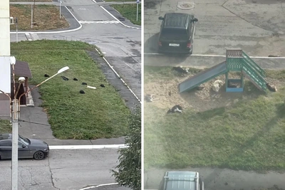 Собаки не пускают детей на площадку в Омске