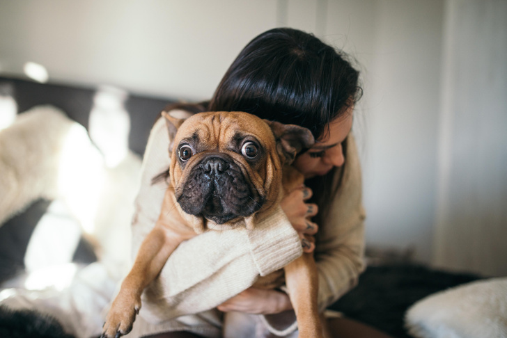 7 признаков, что у твоей собаки серьезный стресс, и что можно с этим сделать