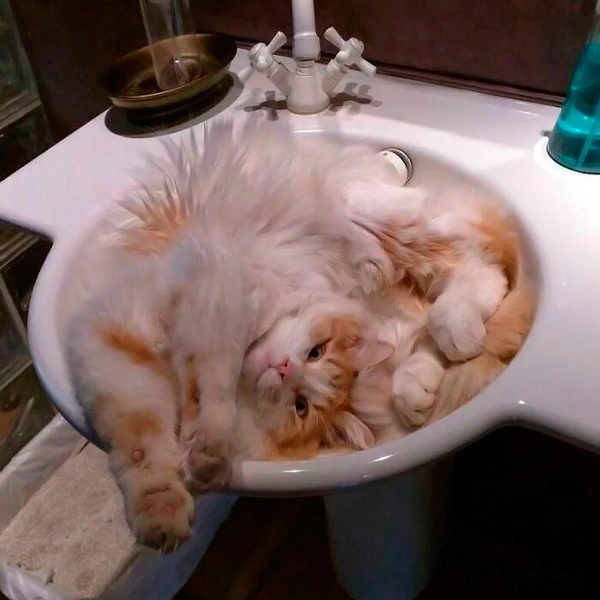 Источник: соцсети