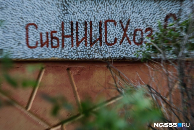 Наименование улицы по старинке наносят на стену | Источник: Евгений Софийчук / NGS55.RU