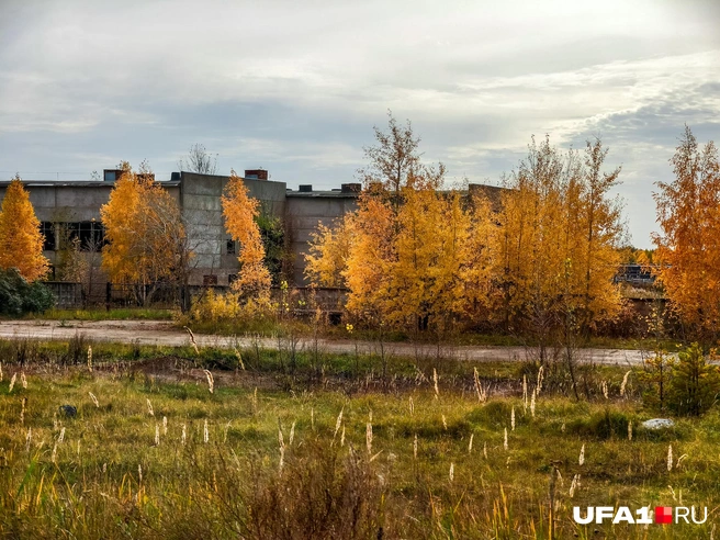 Заброшки повсюду | Источник: Булат Салихов / UFA1.RU