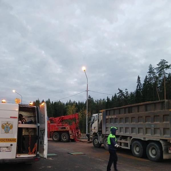 Источник: Комитет по транспорту Ленобласти